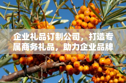 企业礼品订制公司，打造专属商务礼品，助力企业品牌发展
